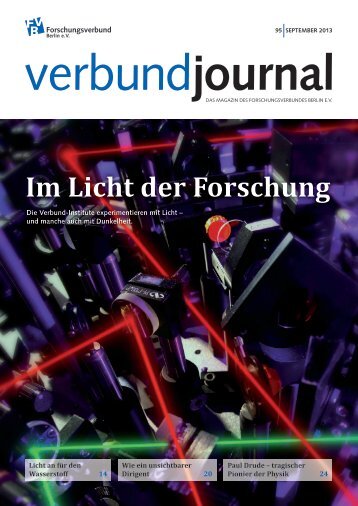 95/2013 - Forschungsverbund Berlin