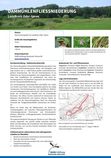 DammÃ¼hlenflieÃŸniederung - NABU-Stiftung Nationales Naturerbe