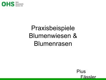 Praxisbeispiele Blumenwiesen & Blumenrasen - Sanu