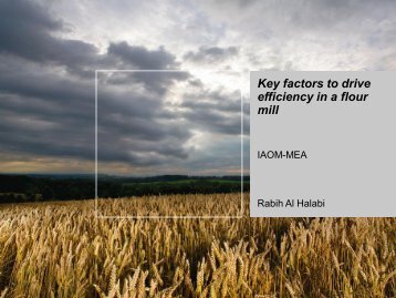 TP#04 - Key Factors to Drive Efficiency in a Flour Mill
