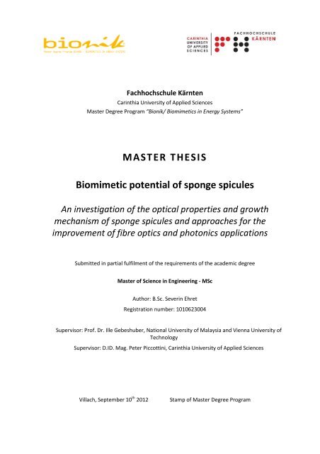 MASTER THESIS Biomimetic potential of sponge ... - IAP/TU Wien