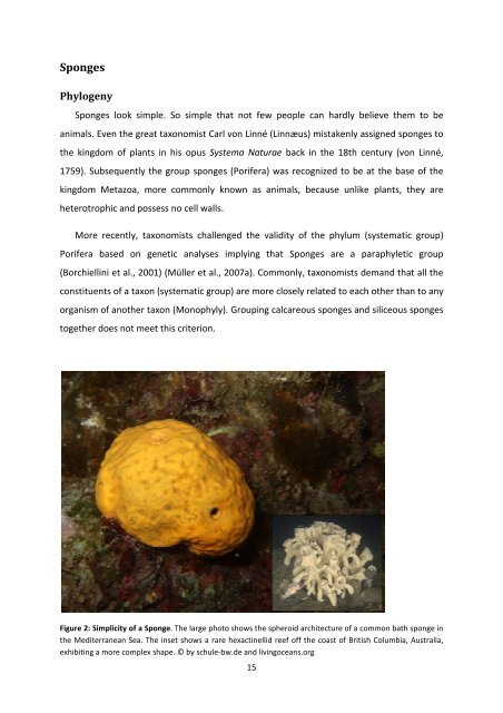 MASTER THESIS Biomimetic potential of sponge ... - IAP/TU Wien