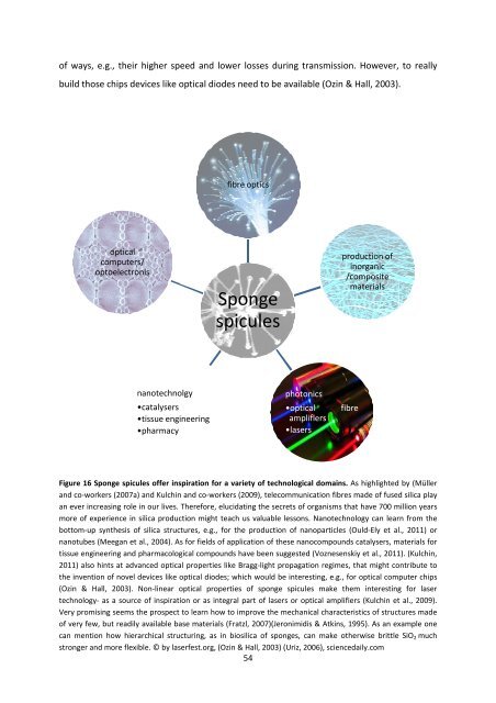 MASTER THESIS Biomimetic potential of sponge ... - IAP/TU Wien