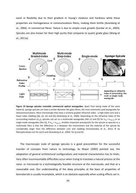 MASTER THESIS Biomimetic potential of sponge ... - IAP/TU Wien