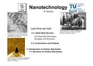 Nanotechnology - IAP/TU Wien