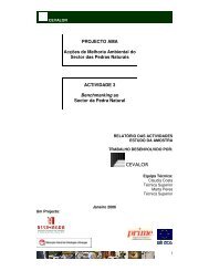 Benchmarking no sector da Pedra Natural - Iapmei