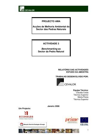 Benchmarking no sector da Pedra Natural - Iapmei