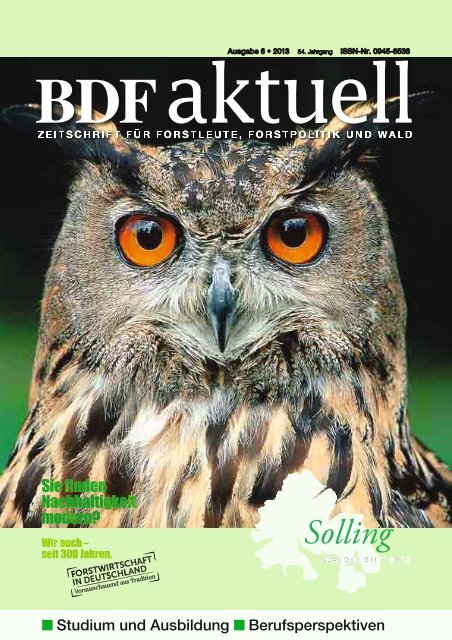 Ausgabe 06/2013 - BDF