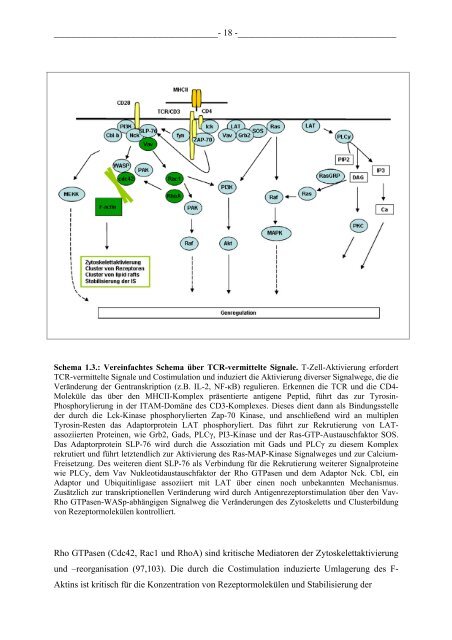 Untersuchung des Einflusses von Maservirus auf ... - OPUS WÃ¼rzburg