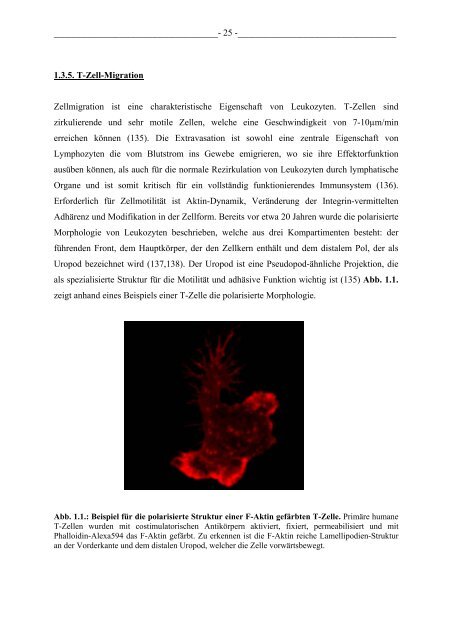 Untersuchung des Einflusses von Maservirus auf ... - OPUS WÃ¼rzburg