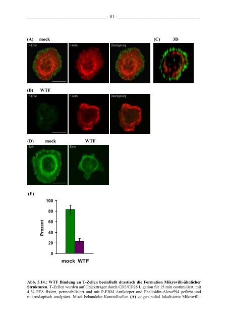 Untersuchung des Einflusses von Maservirus auf ... - OPUS WÃ¼rzburg