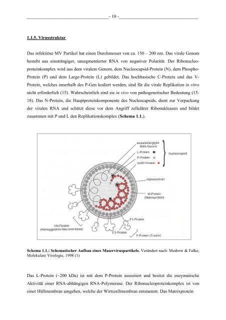 Untersuchung des Einflusses von Maservirus auf ... - OPUS WÃ¼rzburg