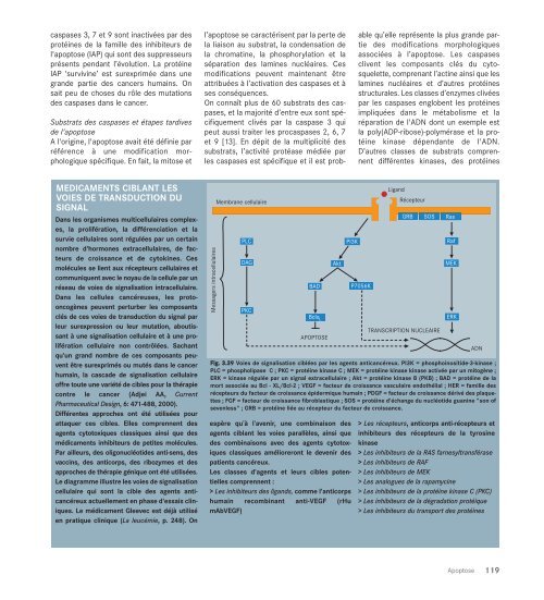 Le cancer, un fardeau mondial - IARC