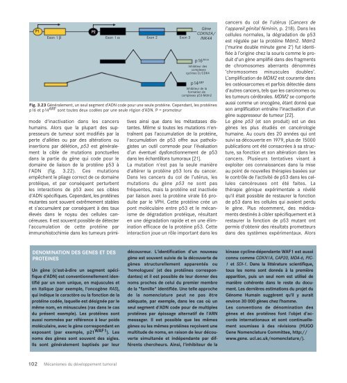 Le cancer, un fardeau mondial - IARC