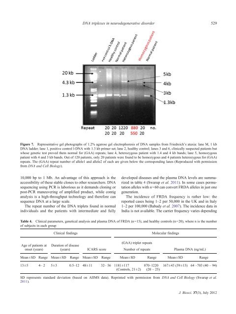 DNA triplex structures in neurodegenerative disorder, Friedreich's ...