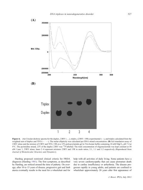 DNA triplex structures in neurodegenerative disorder, Friedreich's ...