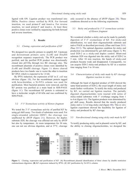 Realizing directional cloning using sticky ends produced by 3′-5 ...