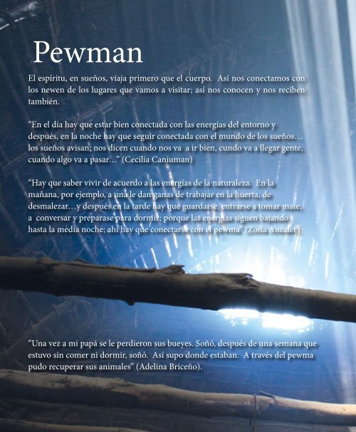 LIBRO LIKANRAY MAPUCHE FINAL portadas.pdf