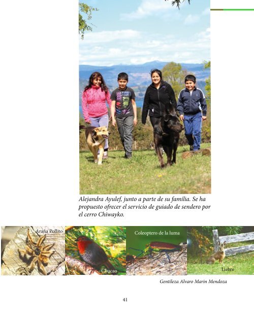 LIBRO LIKANRAY MAPUCHE FINAL portadas.pdf