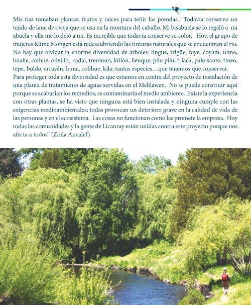 LIBRO LIKANRAY MAPUCHE FINAL portadas.pdf