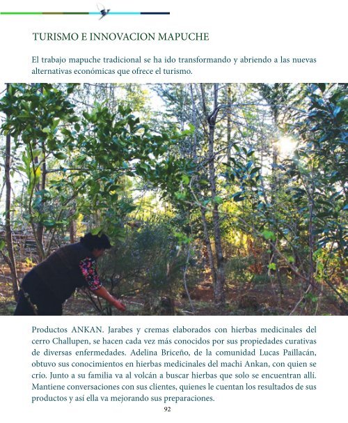 LIBRO LIKANRAY MAPUCHE FINAL portadas.pdf