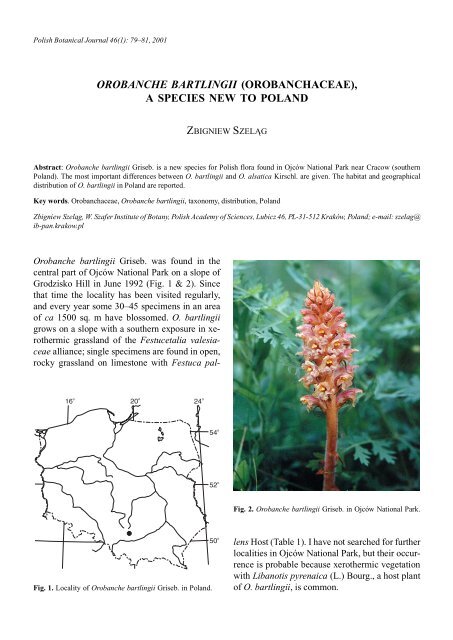 OROBANCHE BARTLINGII (OROBANCHACEAE), A SPECIES NEW ...