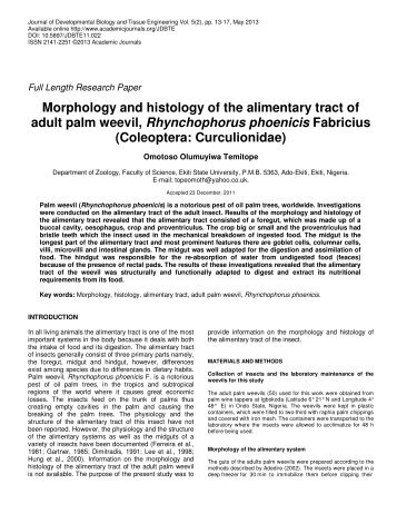 Morphology and histology of the alimentary tract of adult palm weevil ...