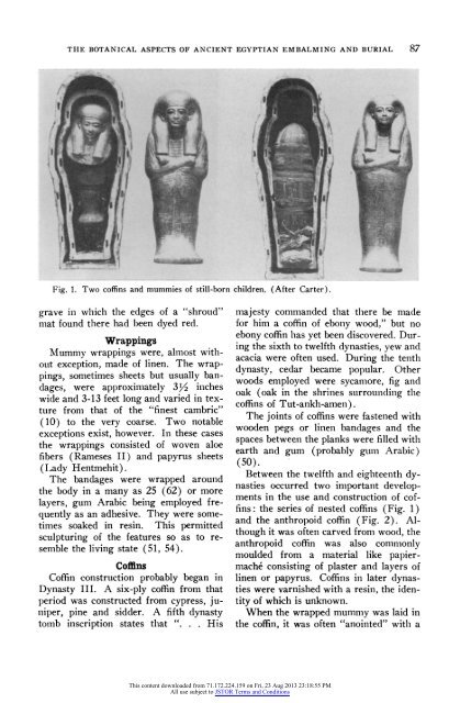 The Botanical Aspects of Ancient Egyptian Embalming and Burial