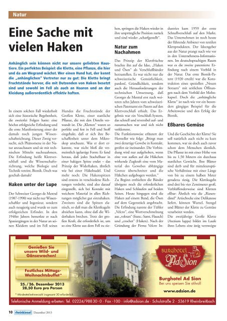 Ausgabe lesen - Rheinkiesel