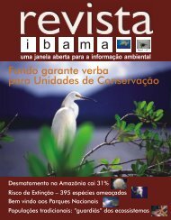 Revista do Ibama Ano I-nÂº1