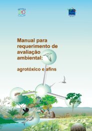 Manual para requerimento de avaliaÃ§Ã£o ambiental: - Ibama