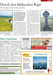 Download Seiten 29 bis 31: 3 MB - Der Sonntag - Glaube und Leben