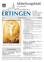 Ausgabe 13 vom 28.03.2013 - Ertingen