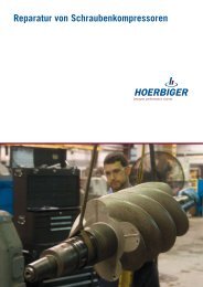 Reparatur von Schraubenkompressoren - Hoerbiger