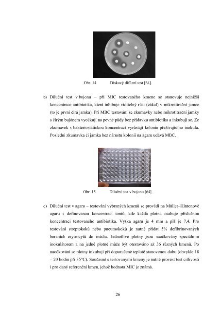 thesis - Theses