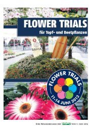 Flower Trials 2013 - Taspo