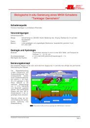 In-situ Sanierung eines MKW-Schadens - IBL Umwelt