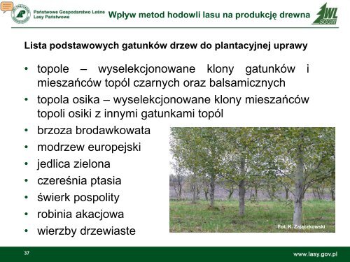 Wpływ metod hodowli lasu na produkcję drewna