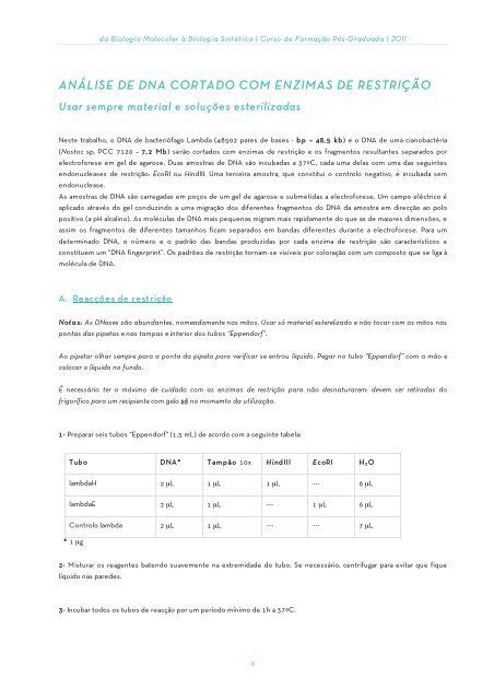 Manejo da micropipeta - IBMC