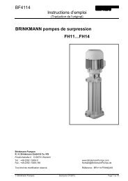 FH14 - Brinkmann Pumps