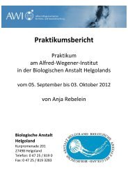 Anja Rebelein, AWI Helgoland - FÃ¶rderverein der Biologieolympiade