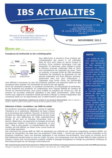 NÂ°28 - Institut de Biologie Structurale