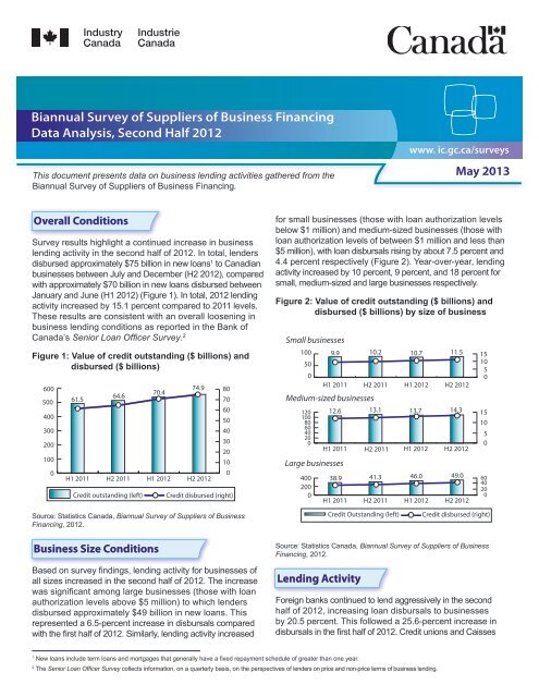 Biannual Survey of Suppliers of Business ... - Industrie Canada