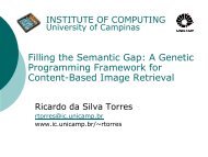A Genetic Programming Framework for Content-based ... - Unicamp
