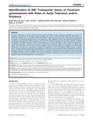 Identification of ABC Transporter Genes of Fusarium graminearum ...