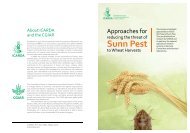 Approaches for Reducing the Threat of Sunn Pest - Icarda