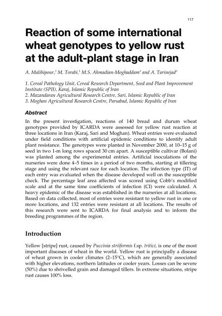 Meeting the Challenge of Yellow Rust in Cereal Crops - ICARDA