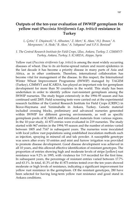 Meeting the Challenge of Yellow Rust in Cereal Crops - ICARDA