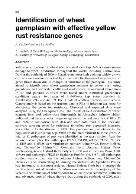 Meeting the Challenge of Yellow Rust in Cereal Crops - ICARDA