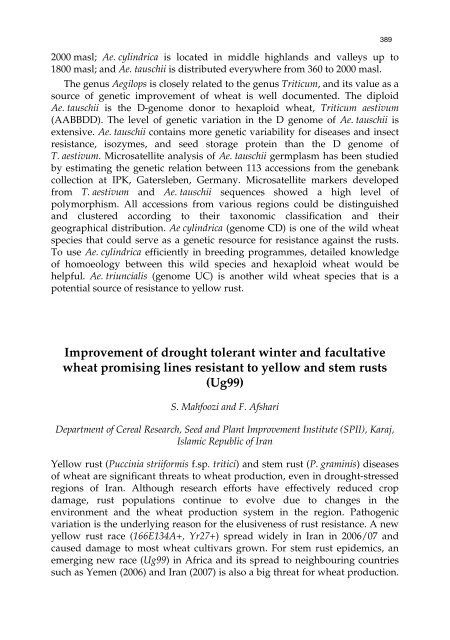 Meeting the Challenge of Yellow Rust in Cereal Crops - ICARDA